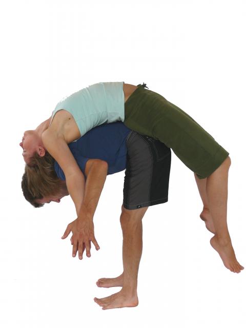 Partner Yoga